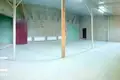Almacén 876 m² en Zdanovicy, Belarús