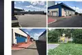 Negocio listo 14 500 m² en Nemyriv, Ucrania