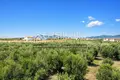 Land 1 560 m² Kalyves Polygyrou, Greece