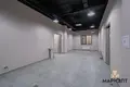 Commercial property 25 rooms 224 m² in Minsk, Belarus