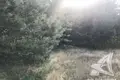 Land  Radvanicki sielski Saviet, Belarus