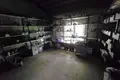 Manufacture 689 m² in Vysokaye, Belarus
