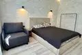 Mir Elite House, дизайн, комфорт и уют в центре города