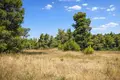Działki 12 000 m² Kassandrino, Grecja
