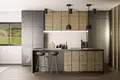 3 bedroom villa 199 m² el Pinos Pinoso, Spain
