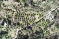 Land 1 100 m² Municipality of Lopar, Croatia