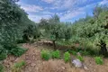 Parcelas  Eastern Macedonia and Thrace, Grecia