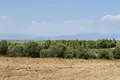 Land 1 room  Kassandreia, Greece