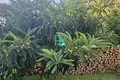 Dom 3 pokoi 380 m² Urugwaj, Urugwaj