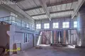 Zakład produkcyjny 3 322 m² Khvojniki, Białoruś