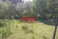 Działki 4 650 m² Amisiana, Grecja