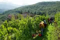 Investition 1 067 m² Greve in Chianti, Italien