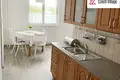 Mieszkanie 3 pokoi 60 m² Nova Role, Czechy