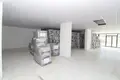 Магазин 460 м² Чифтликкёй, Турция