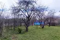 Дом 46 м² Михановичи, Беларусь