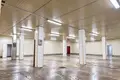 Производство 4 100 м² Радостное, Украина