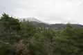 3 bedroom villa 201 m² Herceg Novi, Montenegro