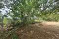 Land 600 m² Opcina Liznjan, Croatia