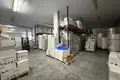 FACTORY FOR WET WIPES AND SANITARY PRODUCTS - 2 KM FROM PLOVDIV CUSTOMS OFFICE