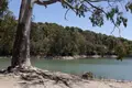 2 bedroom apartment 217 m² San Pedro Alcantara, Spain