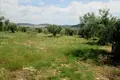 Land 1 room 5 338 m² Polygyros Municipality, Greece