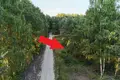 Atterrir 1 018 m² Radzyny, Pologne