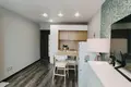 1 room apartment 40 m² Lyasny, Belarus