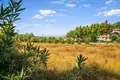 Atterrir 30 000 m² Kassandrino, Grèce