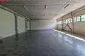 Gewerbefläche 2 216 m² in Zemaitkiemis, Litauen