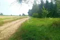   Добринёвский сельский Совет, Беларусь