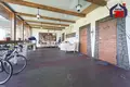 Cottage 421 m² Bialarucki sielski Saviet, Belarus