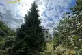Дом 250 м² Заславль, Беларусь