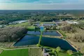 Atterrir 2 293 m² Zielonagora, Pologne