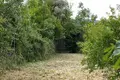 Commercial property  in Risan, Montenegro