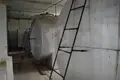 Propiedad comercial 780 m² en Vialikija Navasiolki, Belarús
