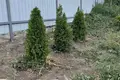 Dom 2 pokoi 30 m² Burlacha Balka, Ukraina