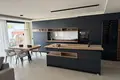 Haus 4 zimmer 203 m² Rojales, Spanien