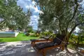 5 room house 220 m² Donje Polje, Croatia