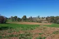 Земельные участки 1 комната  Kassandra Municipality, Греция