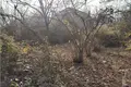 Земельные участки 1 300 м² Тбилиси, Грузия