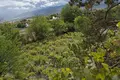 6 bedroom villa 6 000 m² Tosya, Turkey