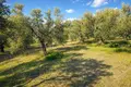 Land 8 500 m² Neos Marmaras, Greece
