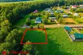 Land  Bialarucki sielski Saviet, Belarus