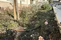 Mieszkanie 1 pokój 71 m² Kosharitsa, Bułgaria