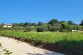 Land  Kastelir, Croatia