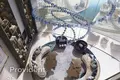 Wohnung 1 zimmer 795 m² Dubai, Vereinigte Arabische Emirate