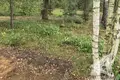 Land  Muchaviecki sielski Saviet, Belarus