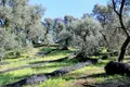 Atterrir 1 chambre 3 750 m² Períthia, Grèce