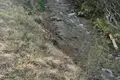 Земельные участки  Dealu Babii, Румыния