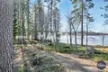 Villa  Kitee, Finnland